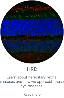 HRD